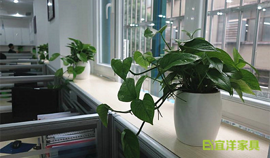 办公家具厂家|绿植摆放 办公家具厂家|绿植摆放